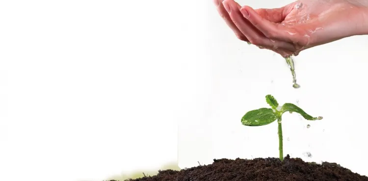 Tohumu Ektik, Çıkmazsa Toprak Utansın!