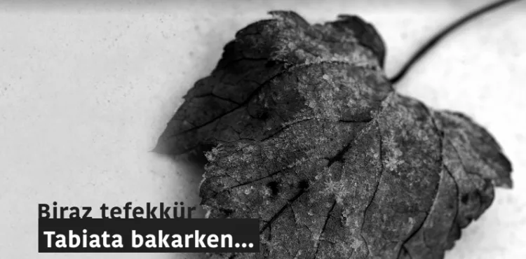 Biraz tefekkür, Tabiata Bakarken