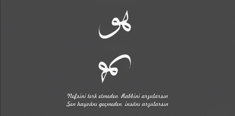 Arzularsın - Niyazi Mısri