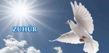 Bir Pencereden G��e B�rak�lan Du�